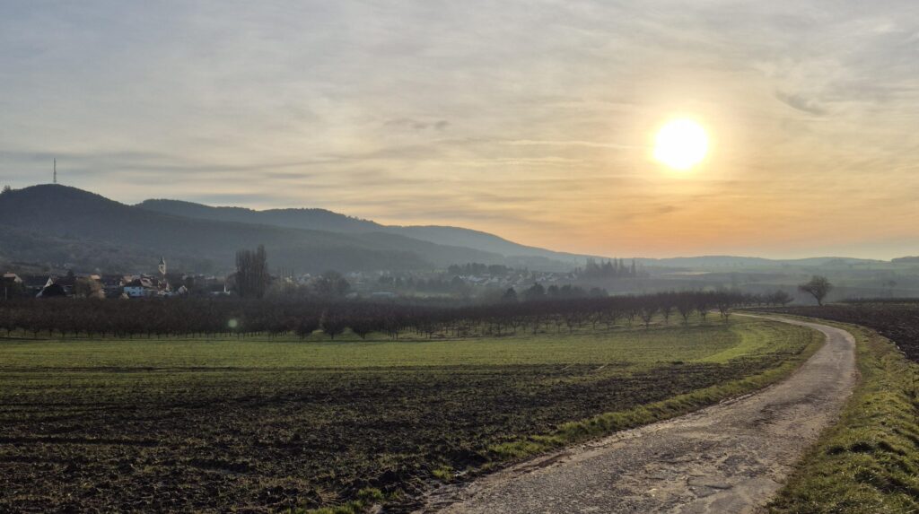 Winter landscape in Alsace (alternative text from WordPress media library)